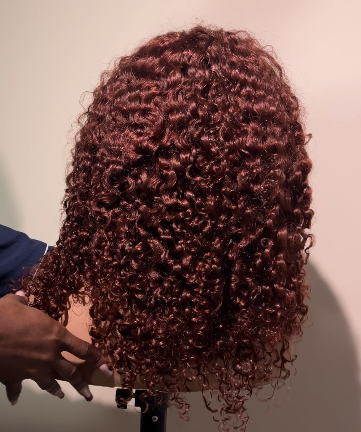Brownish Glueless Burmese curl